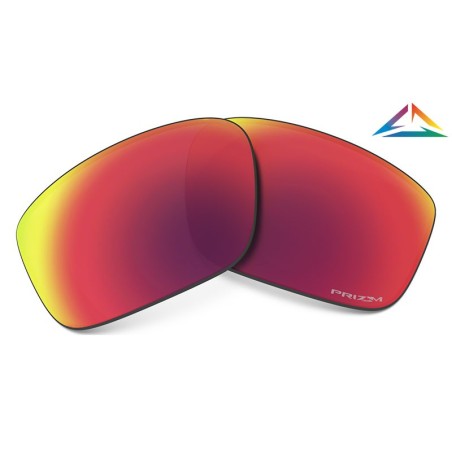 Verres Oakley RX Prizm Torch IR