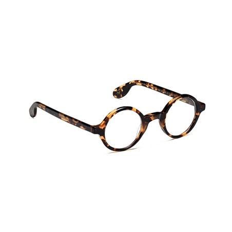 Moscot ZOLMAN Classic Havana