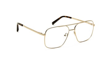 Moscot SHTARKER Gold